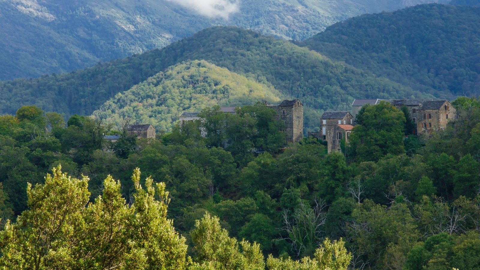 Cartes touristiques Communauté de communes de la Castagniccia Casinca